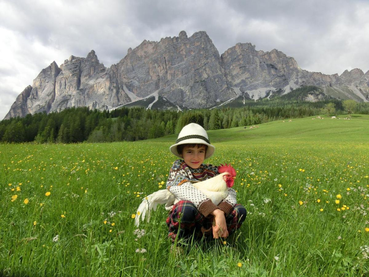 Attico Castello Apartment Cortina d'Ampezzo Luaran gambar